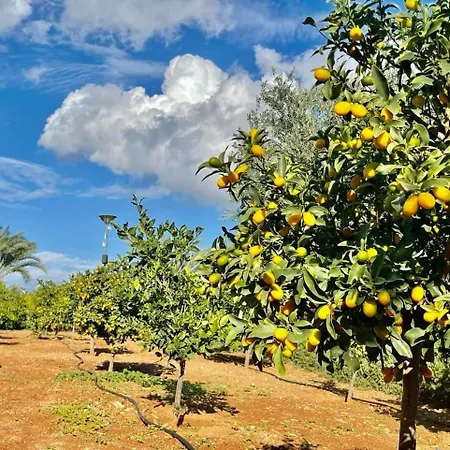 Blue Retreat By The Sea