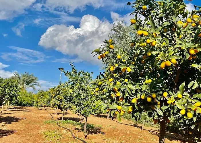 Blue Retreat By The Sea